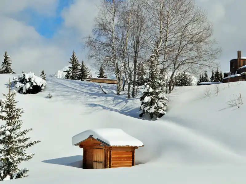Lyon to Courchevel ski transfer